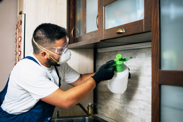 Reliable Wallburg, NC Pest Control Solutions